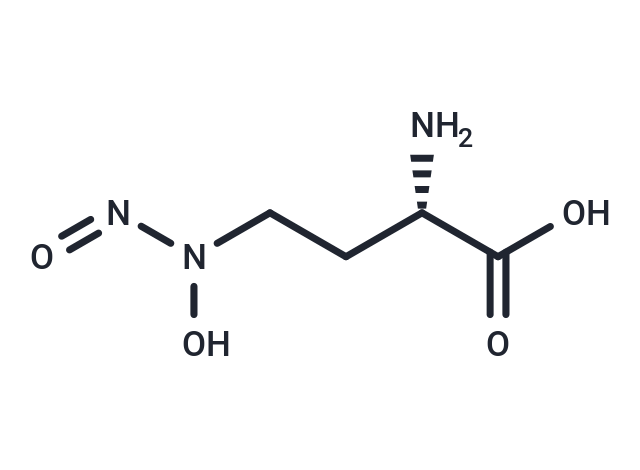 Homoalanosine