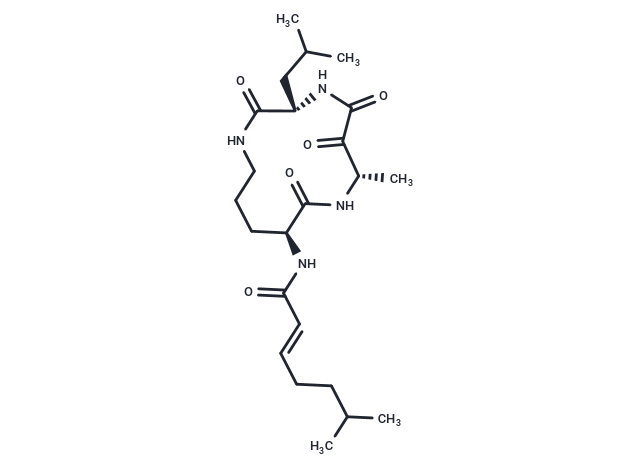 Eurystatin A