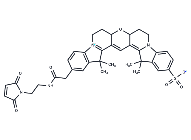 Cy3B maleimide