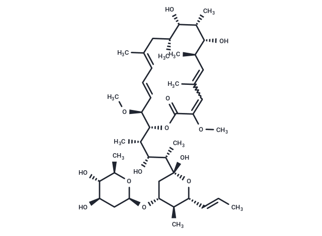 Concanamycin D