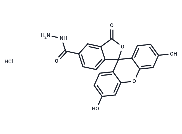 FAM hydrazide,5-isomer