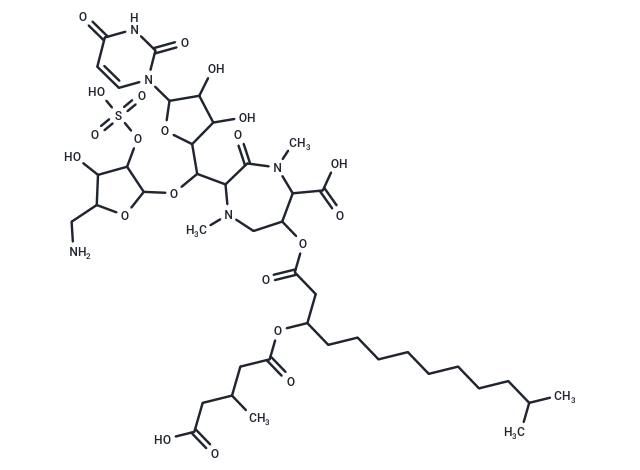 Liposidomycin B