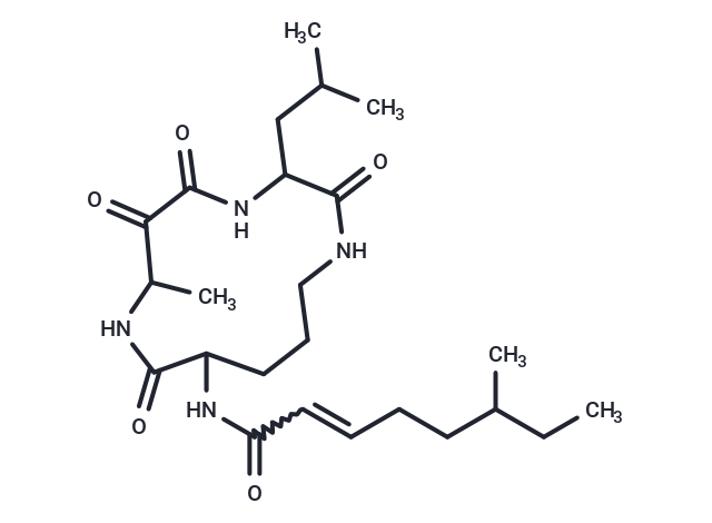 Eurystatin B