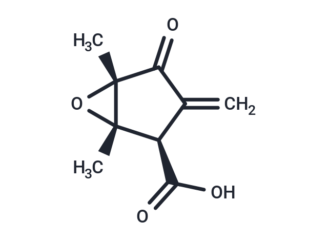 Methylenomycin A
