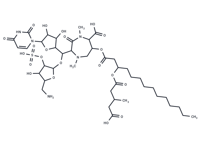 Liposidomycin C