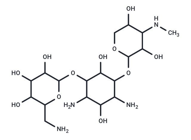2-Hydroxygentamicin A3