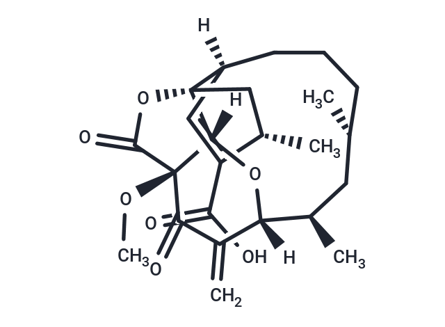 Chrolactomycin
