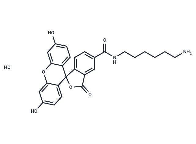 FAM amine, 5-isomer