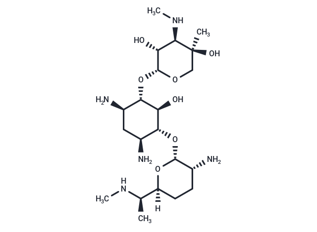 Gentamicin C1