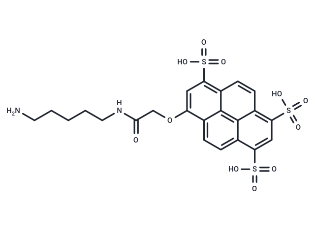 BP Fluor 405 cadaverine
