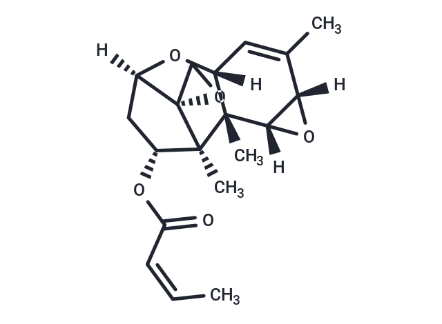 Crotocin