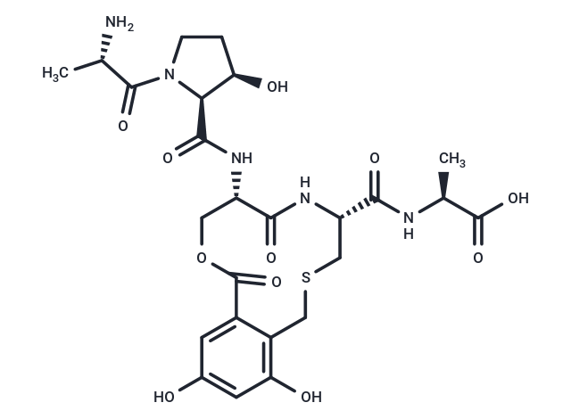 Cyclothialidine B