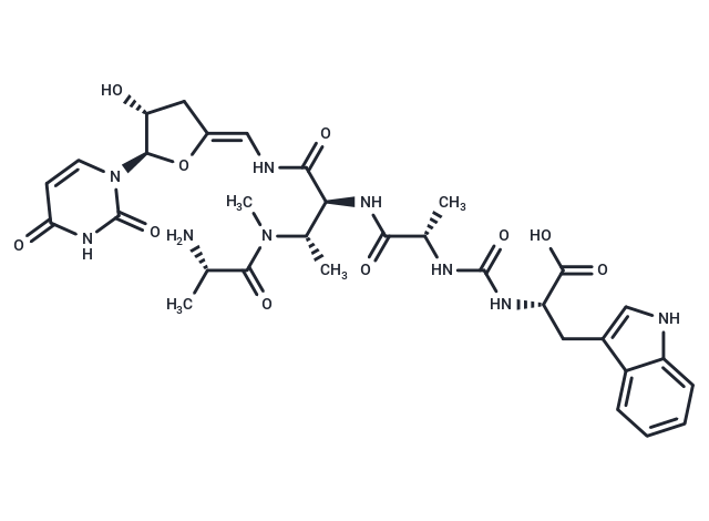 Pacidamycin D
