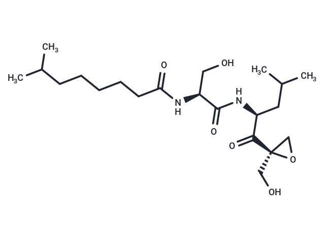 Epopromycin B