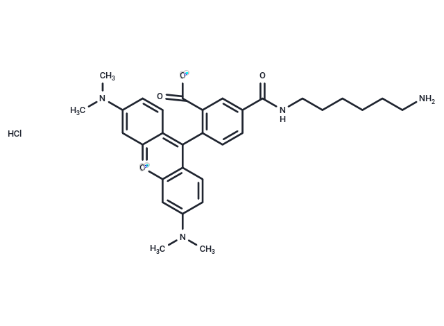 TAMRA amine, 5-isomer hydrochloride