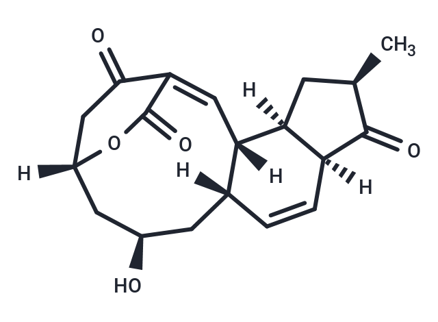 Macquarimicin A