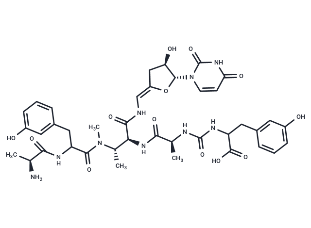 Pacidamycin 3