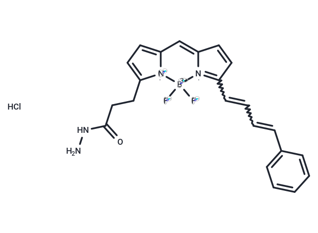 BDP 581/591 hydrazide hydrochloride