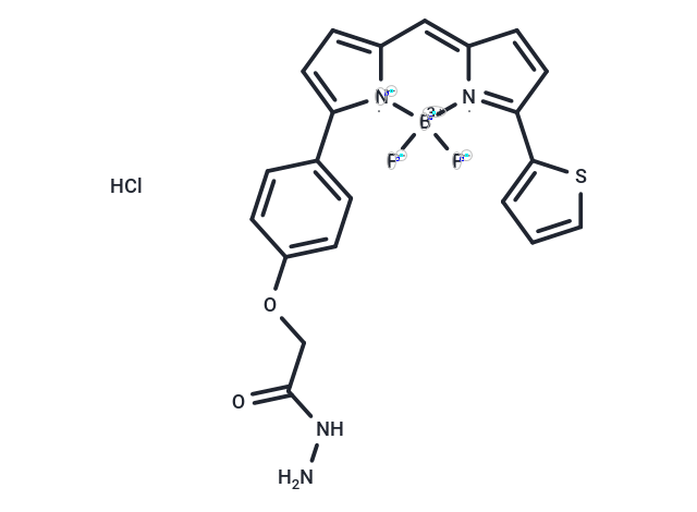 BDP TR hydrazide hydrochloride