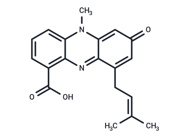 Endophenazine B
