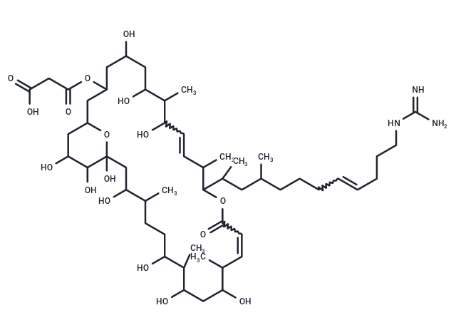 Neocopiamycin A