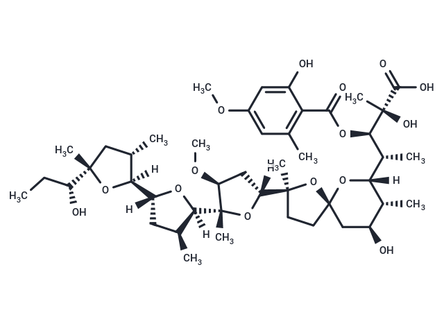 Cationomycin