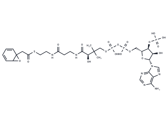 2-(1,2-Epoxy-1,2-dihydrophenyl)acetyl-CoA