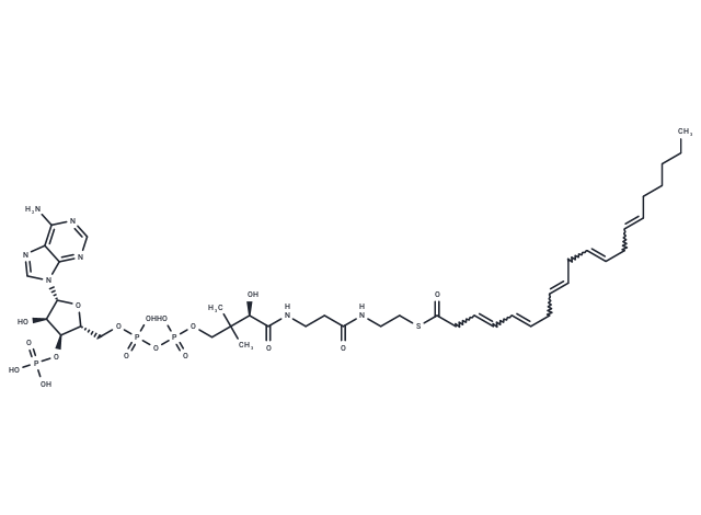 3,5,8,11,14-Eicosapentenoyl-CoA
