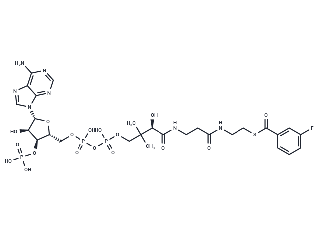3-Fluorobenzoyl-CoA