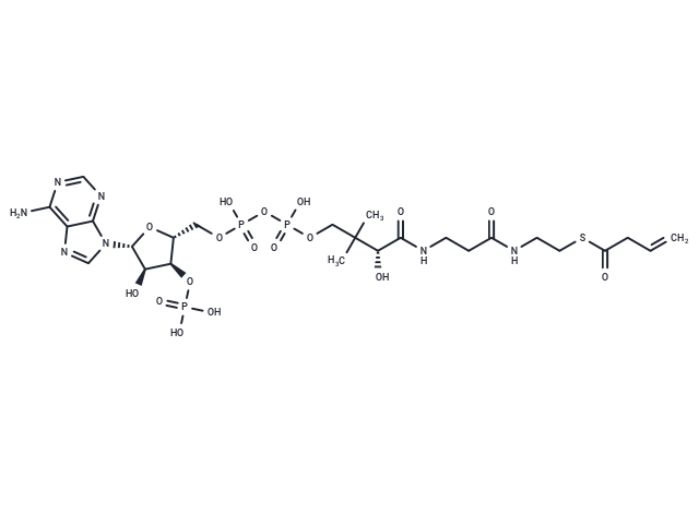 3-Butenyl-CoA