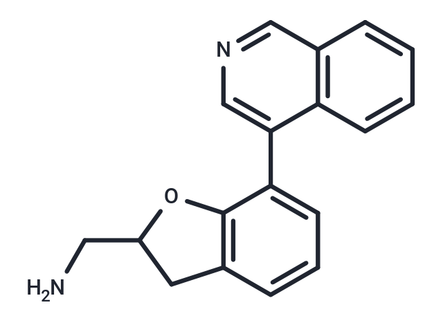 Rho GTPase inhibitor 1