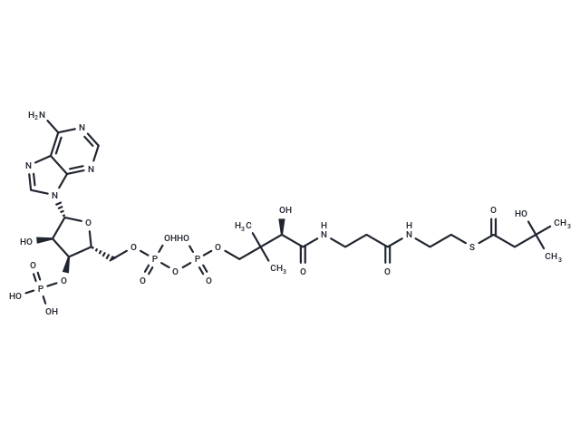 3-Hydroxyisovaleryl-CoA