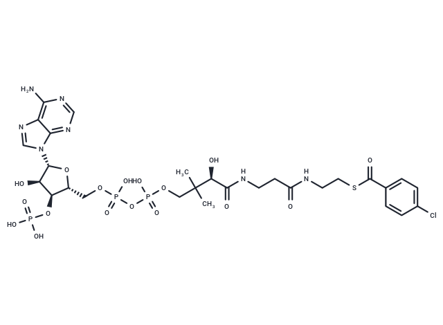 (4-Chlorobenzoyl)-CoA