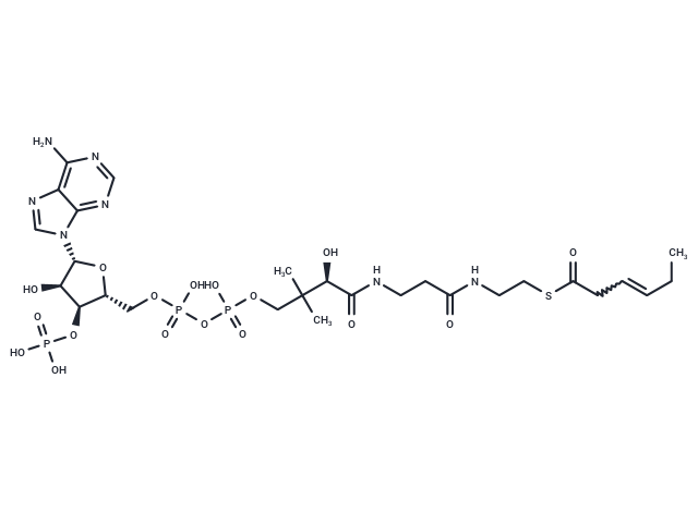 (Z)-Hex-3-enoyl-CoA