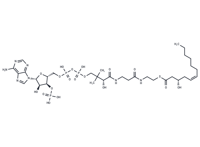 (S)-3-Hydroxy-5Z-dodecenoyl-CoA