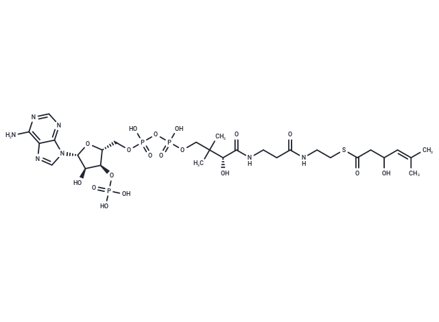 3-Hydroxy-5-methylhex-4-enoyl-CoA