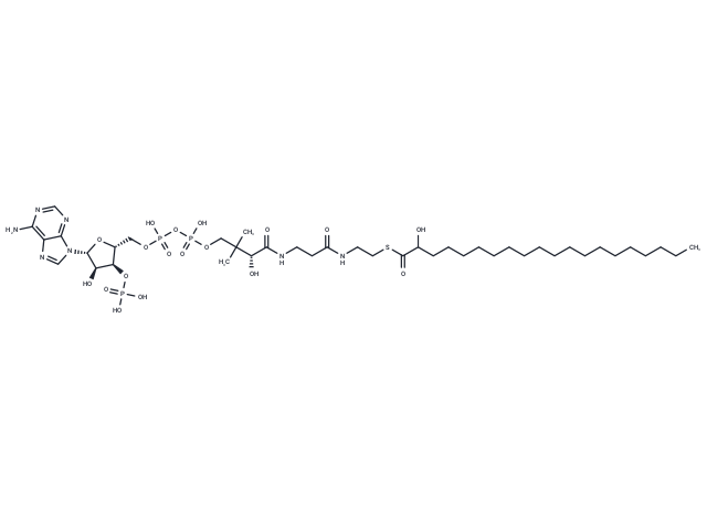 2-Hydroxyarachidoyl-CoA