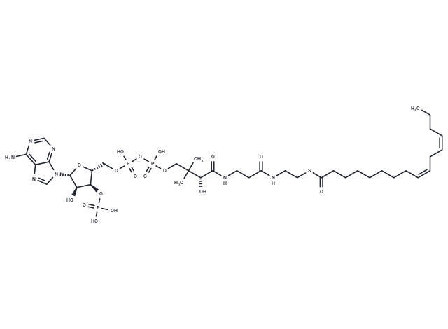 (9Z,12Z)-Hexadecadienoyl-CoA