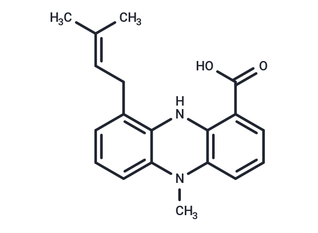 Endophenazine C