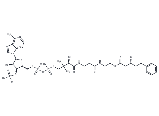 (R)-3-Hydroxy-5-phenylvaleryl-CoA