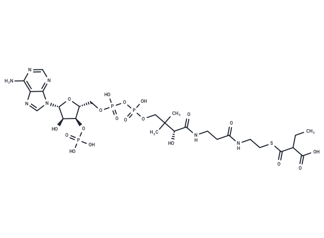 Ethylmalonyl-CoA