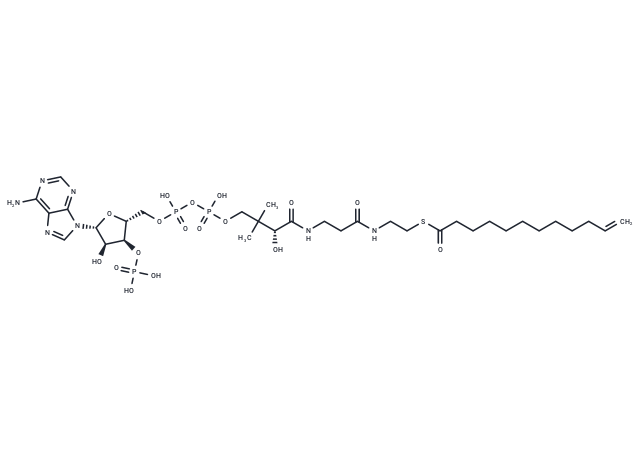 11,12-Didehydroacyl-CoA