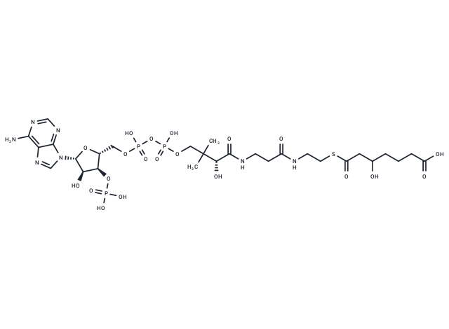 3-Hydroxypimeloyl-CoA