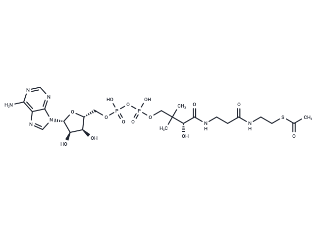 3′-Dephosphoacetyl-CoA
