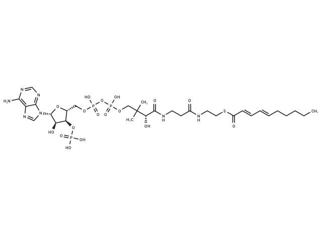 2-trans-4-trans-Decadienoyl-CoA