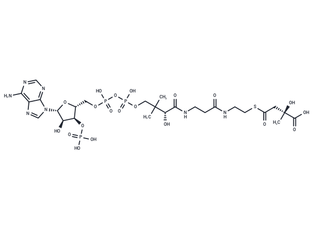 (3S)-Citramalyl-CoA