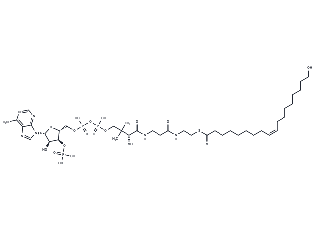 18-Hydroxyoleoyl-CoA
