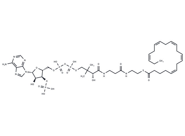 (5Z,8Z,11Z,14Z,17Z)-Icosapentaenoyl-CoA