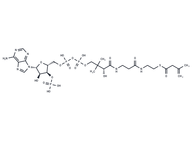 3-Methyl-3-butenoyl-CoA