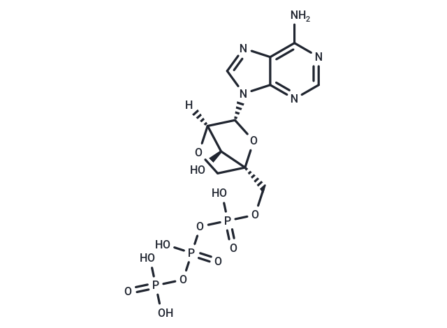 LNA-ATP